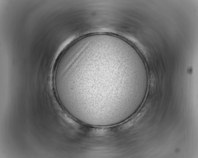 X0000100961278200807081233