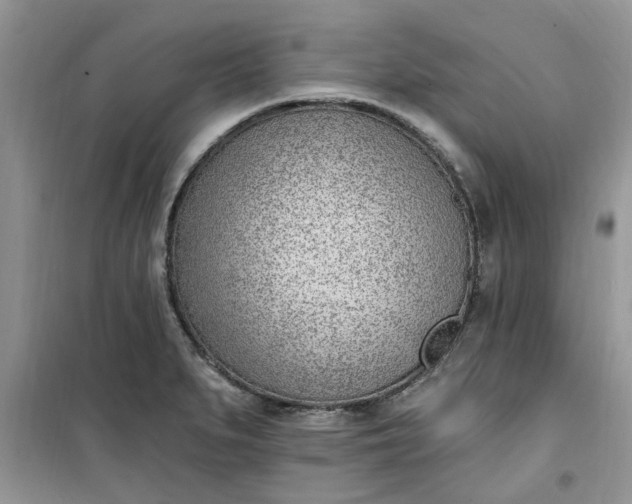 X0000100961279200807081233