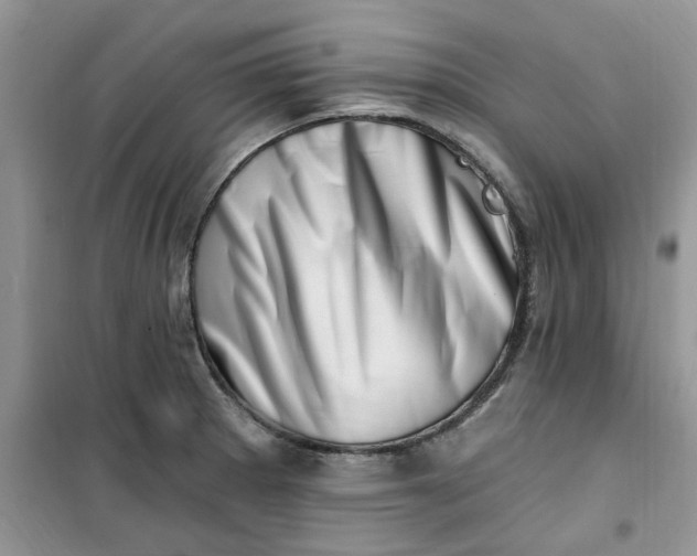 X0000100961281200807081233