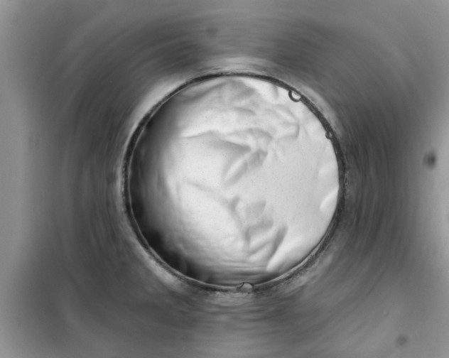 X0000100961285200807081233