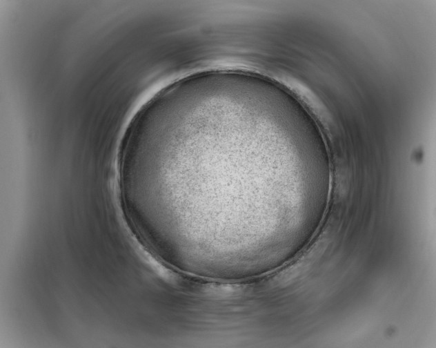X0000100961286200807081233