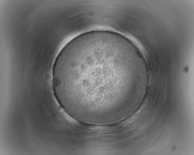 X0000100961287200807081233