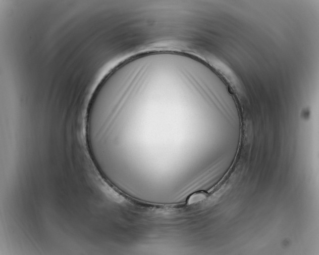 X0000100961288200807081233