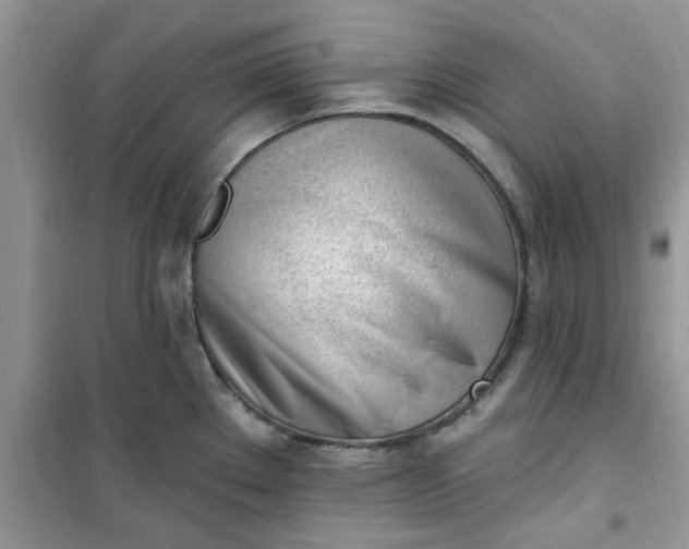 X0000100961289200807081233