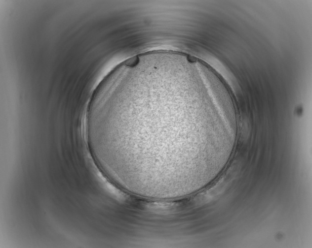 X0000100961290200807081233