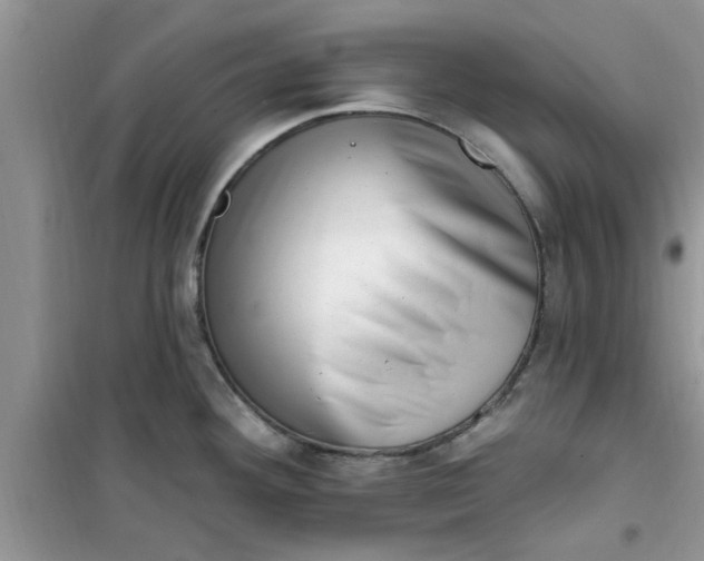 X0000100961292200807081233