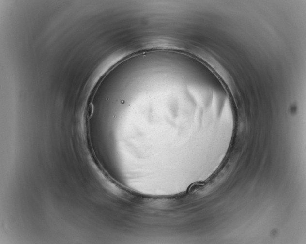 X0000100961293200807081233