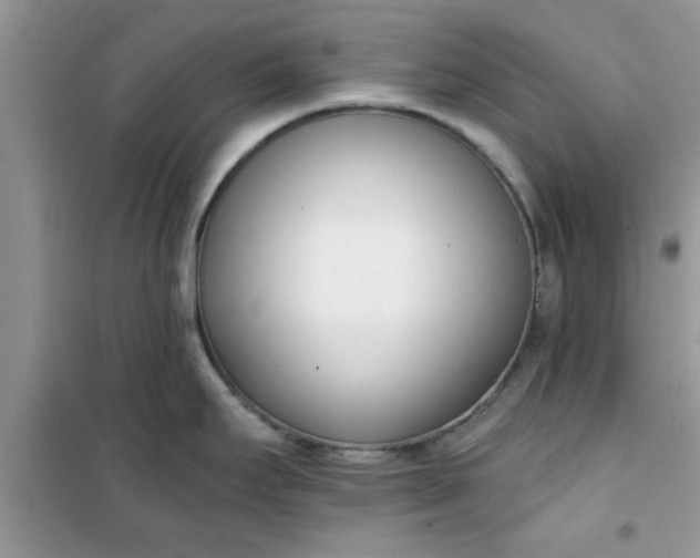 X0000100961295200807081233