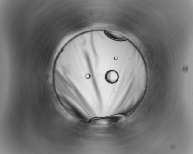 X0000100961296200807081233