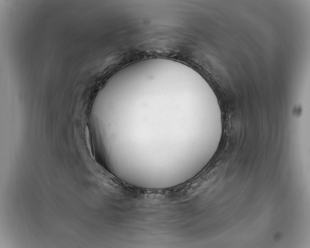 X0000100961297200807081232