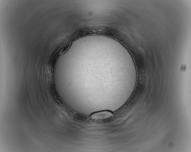 X0000100961298200807081232