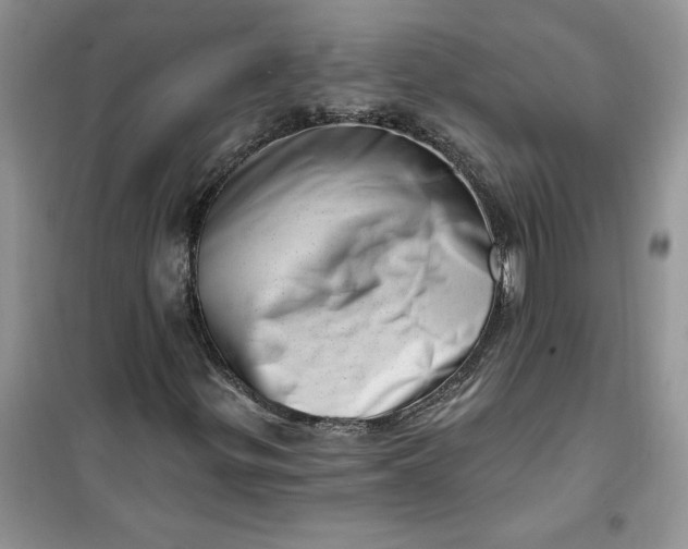 X0000100961299200807081232