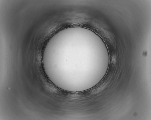 X0000100961300200807081232