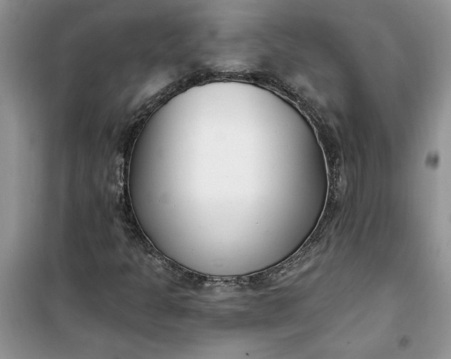 X0000100961301200807081232