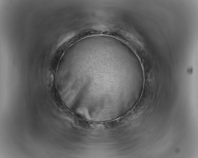 X0000100961302200807081232