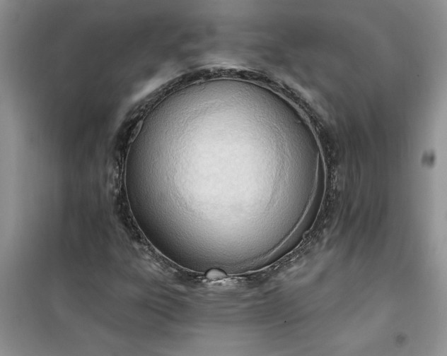 X0000100961303200807081232