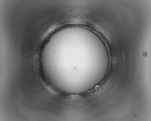 X0000100961304200807081232