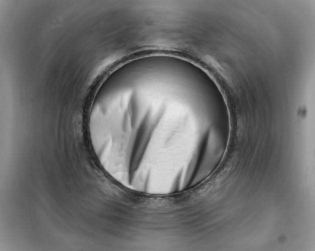 X0000100961307200807081232