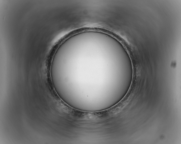 X0000100961311200807081232