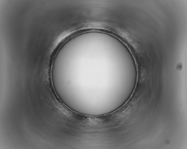 X0000100961312200807081232