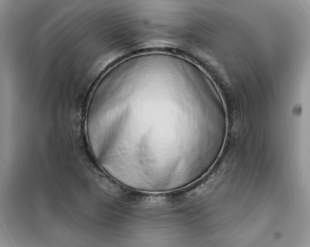 X0000100961313200807081232