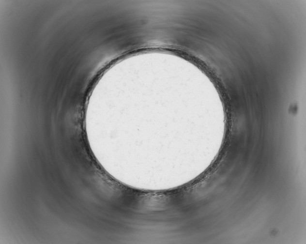 X0000100961314200807081232