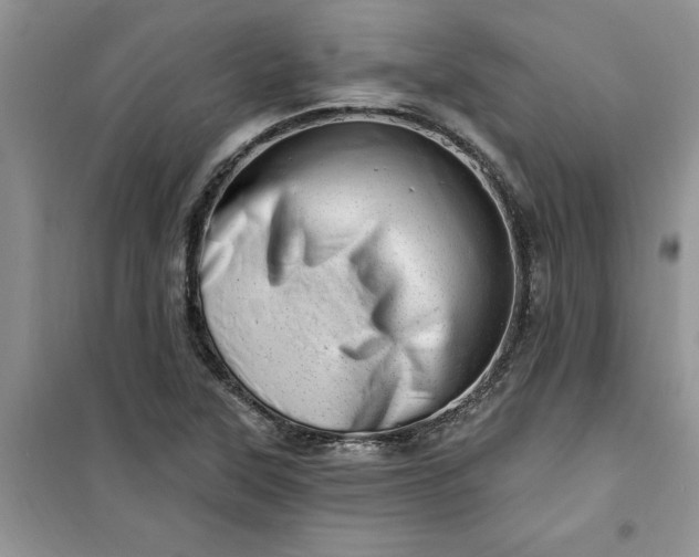 X0000100961315200807081232