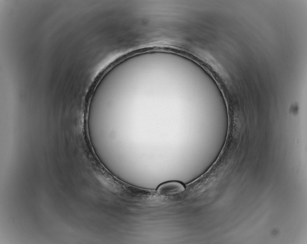 X0000100961316200807081232