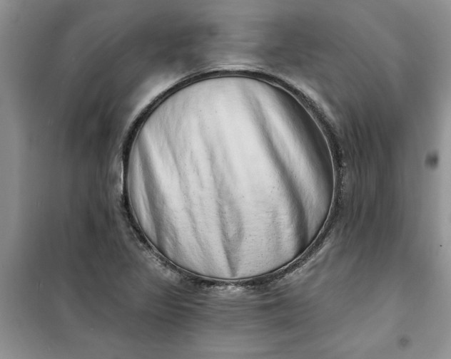 X0000100961317200807081232
