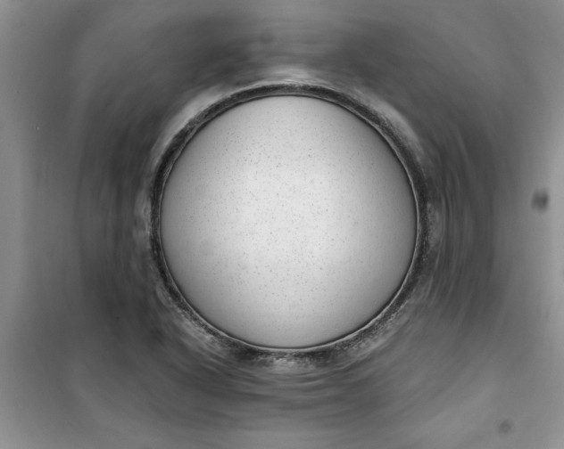 X0000100961318200807081232
