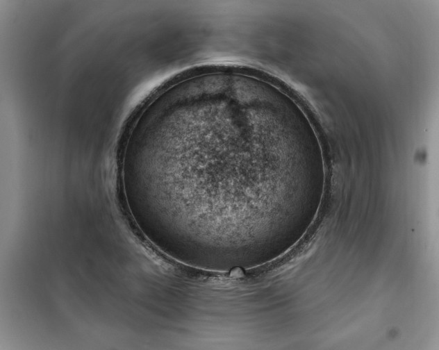 X0000100961319200807081232