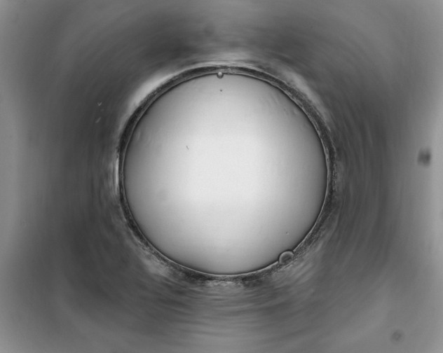 X0000100961320200807081232