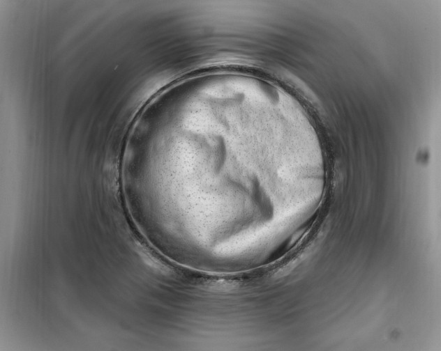 X0000100961321200807081232