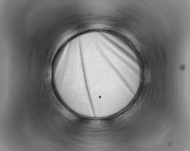 X0000100961322200807081232