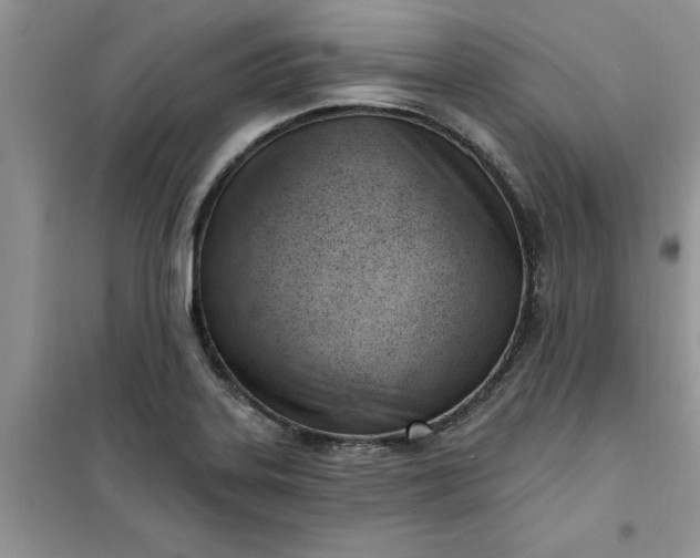 X0000100961323200807081232