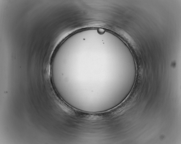X0000100961324200807081232
