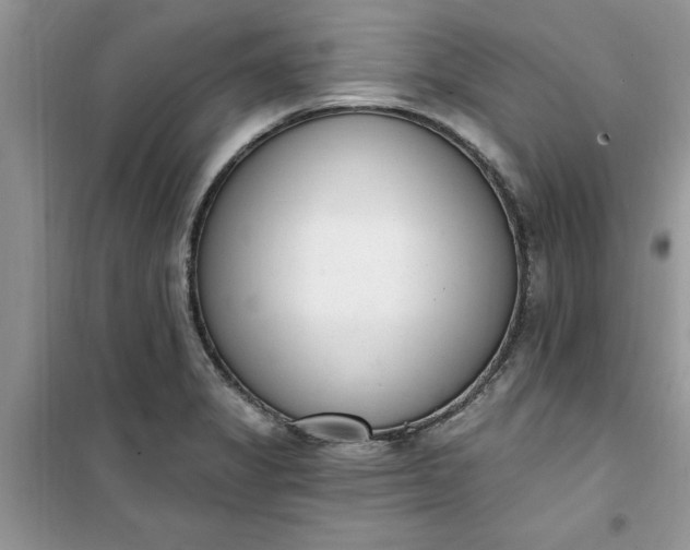 X0000100961325200807081232