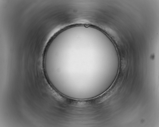 X0000100961326200807081232