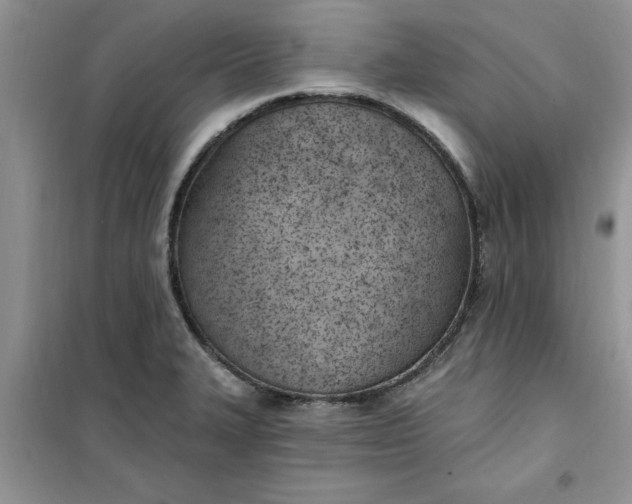 X0000100961327200807081232