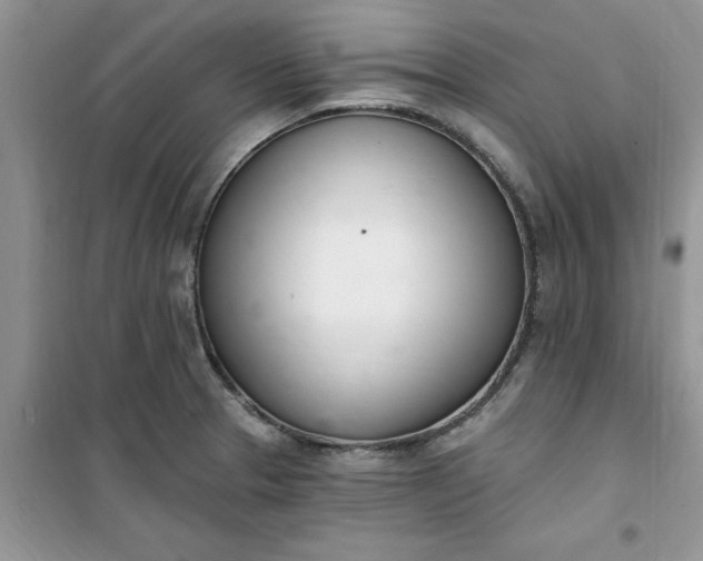 X0000100961329200807081232