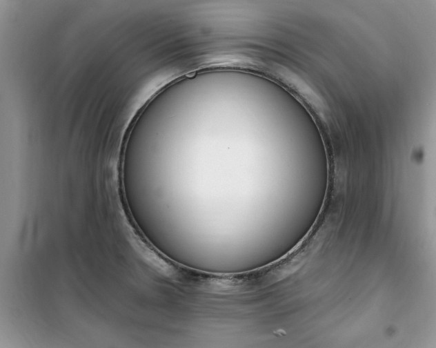 X0000100961330200807081232