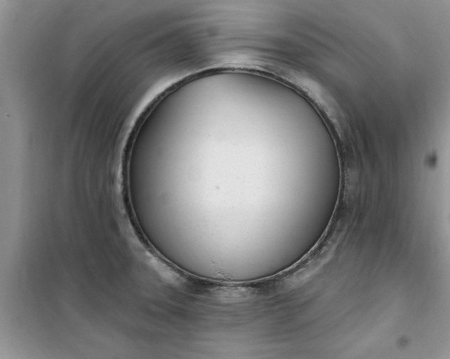 X0000100961331200807081232