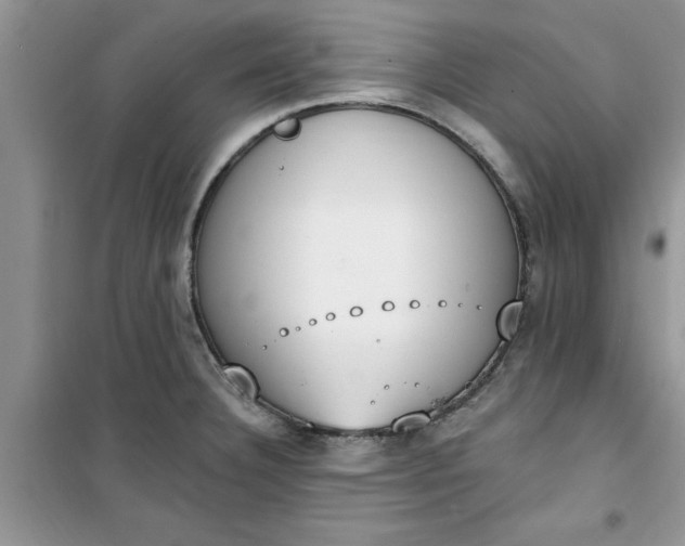 X0000100961332200807081233