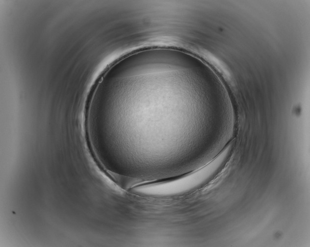 X0000100961334200807081233