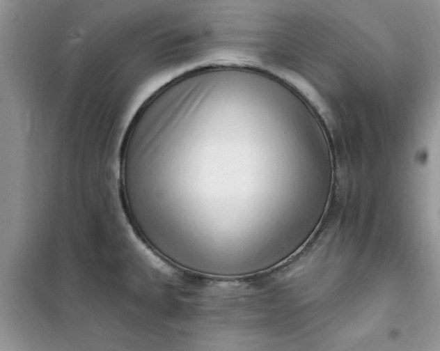 X0000100961335200807081233