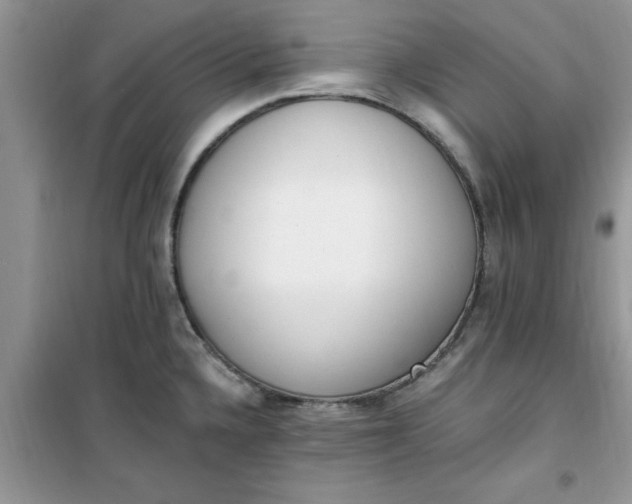 X0000100961336200807081233