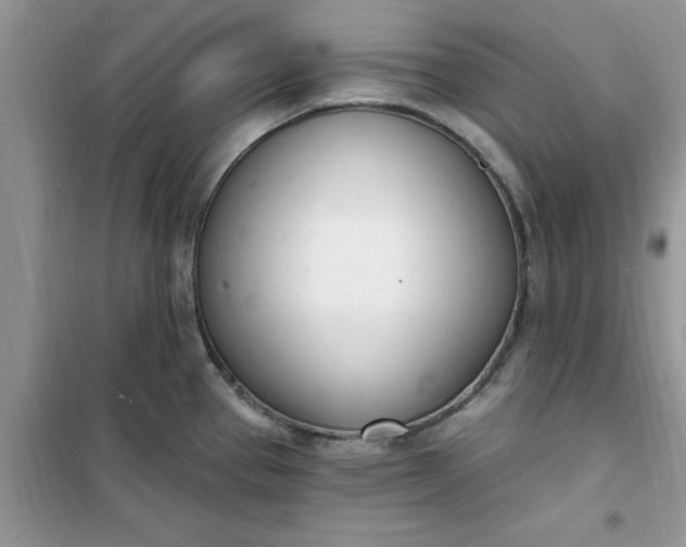 X0000100961337200807081233