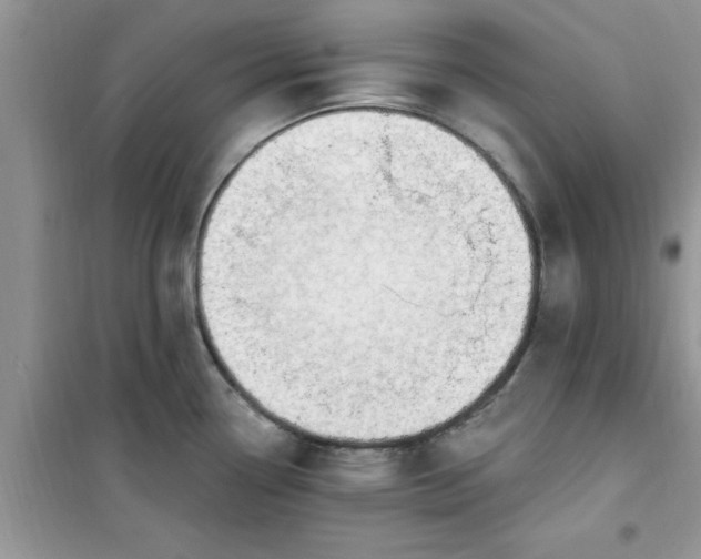 X0000100961338200807081233