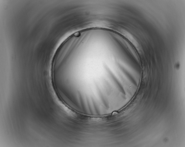 X0000100961339200807081233