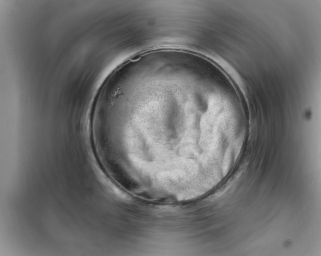 X0000100961341200807081233